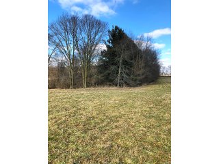 Property photo 3 - REAL ESTATE AUCTION - 30.5+/- ACRES IN 3 TRACTS IN KOSCIUSKO COUNTY, INDIANA